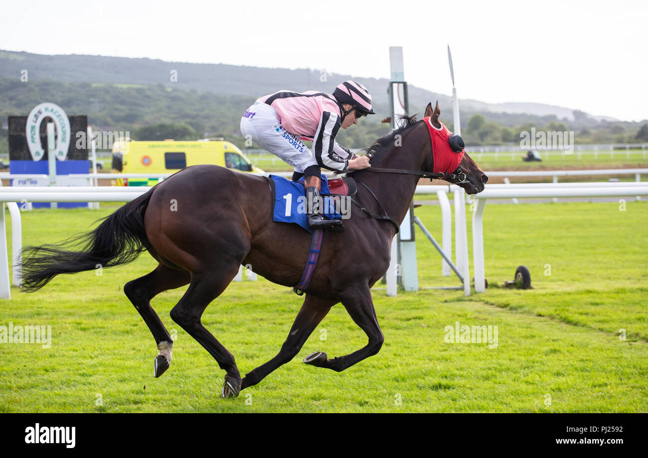 Rennpferd Jacbequick geritten von Jockey Finley Marsh ein Rennen gewinnt an Ffos Las Pferderennbahn Stockfoto