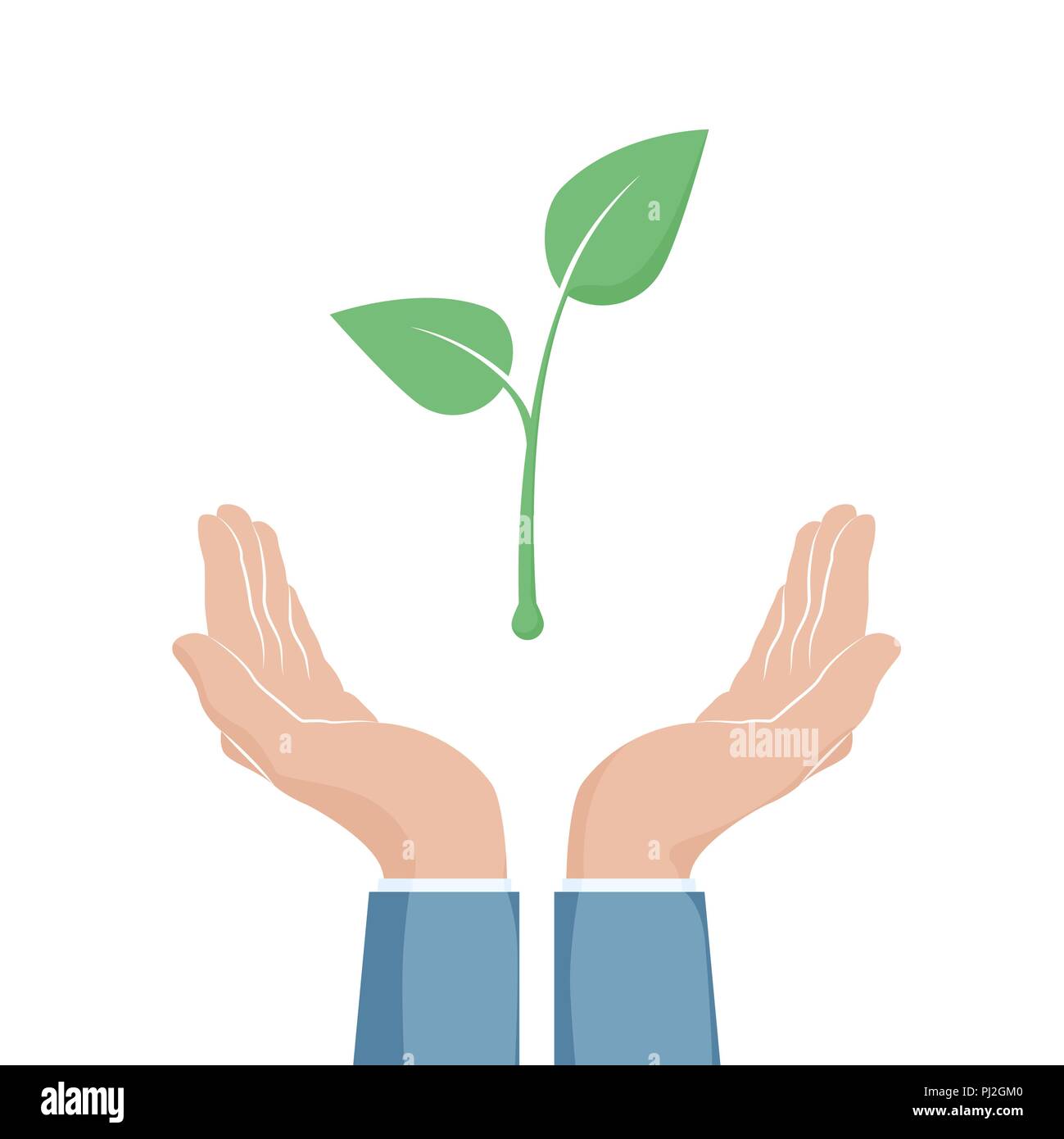 Das Wachstum von Pflanzen zwischen zwei Hände. Eco-Symbol. Hohle Hand, hält grüne Pflanze Sämling. Vector Illustration Stock Vektor