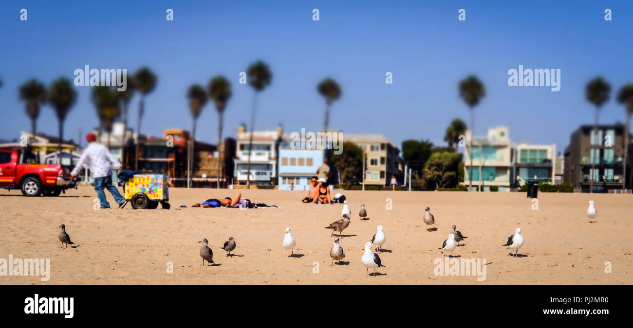 Spielzeug Kamera von Venice Beach, CA Stockfoto