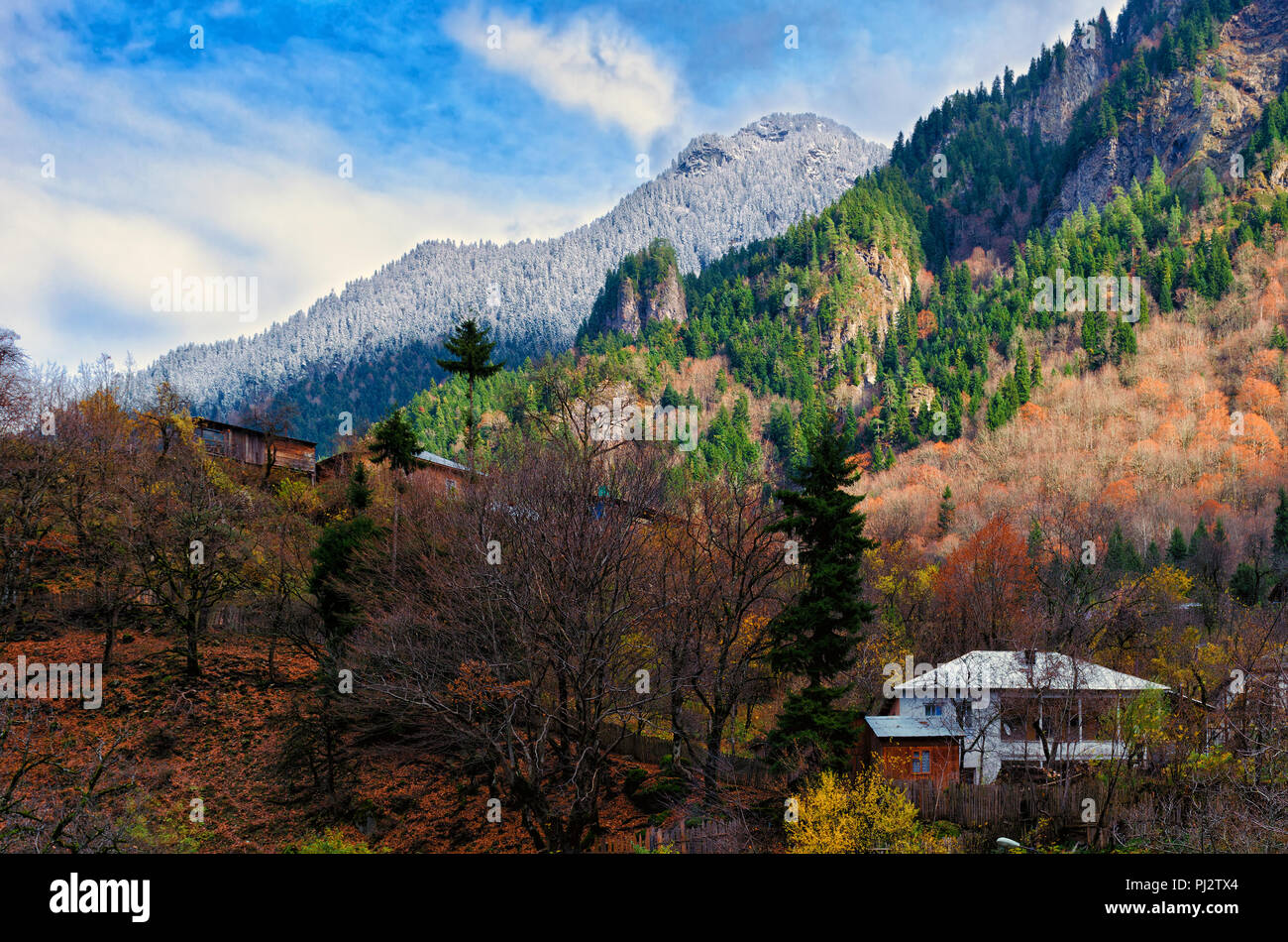 Haus am Hang durch Bäume im Herbst umgeben, Ort der Einsamkeit, Zwiesprache mit der Natur, umweltfreundlich, Stockfoto