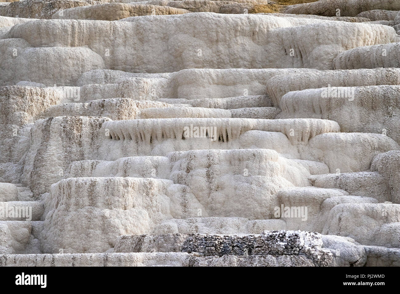 Mammoth Hot Springs Yellowstone Stockfoto