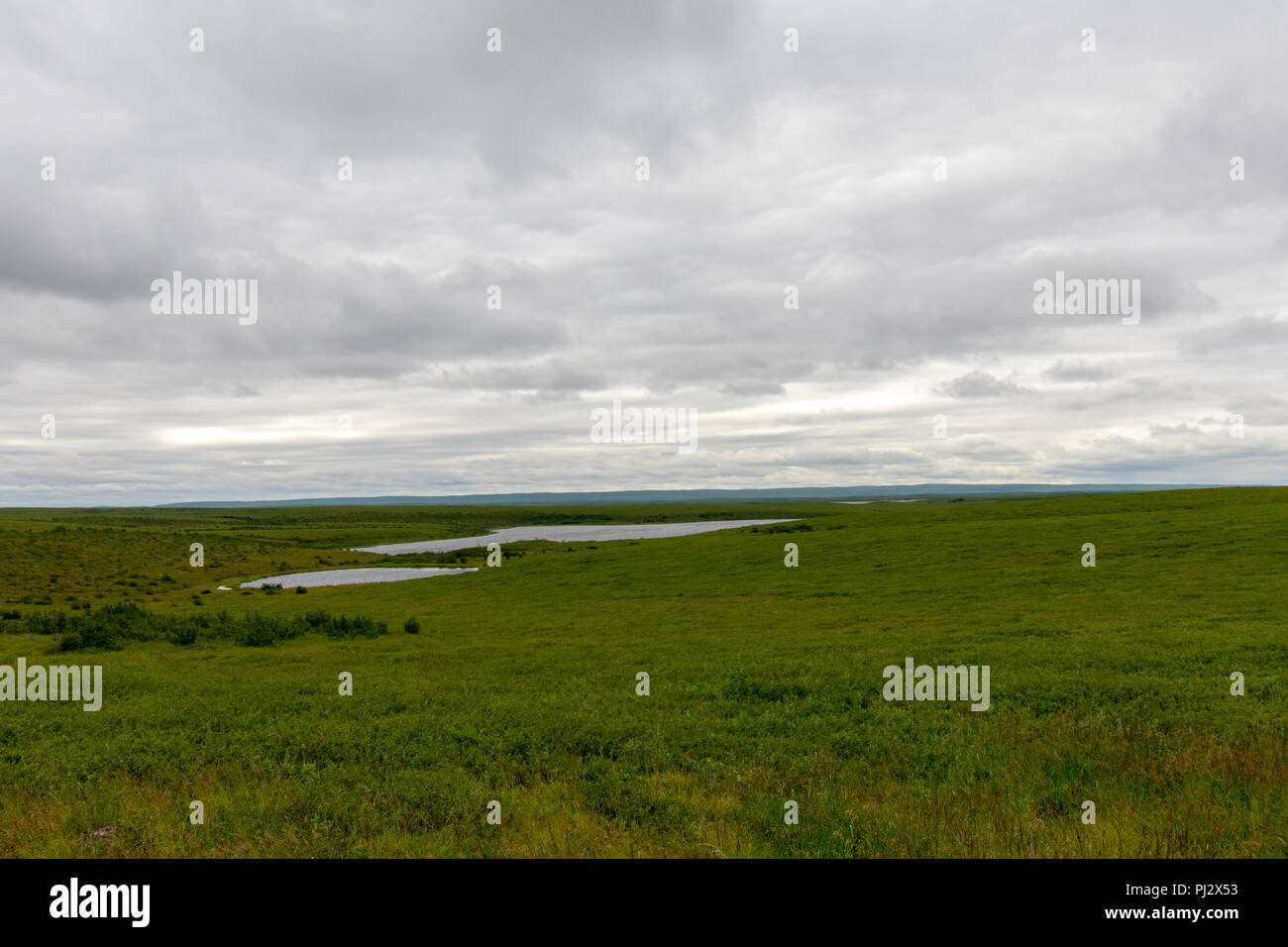 Die Arktis als gesehen von der Mackenzie Valley Highway von Inuvik nach Tuktoyaktuk Stockfoto