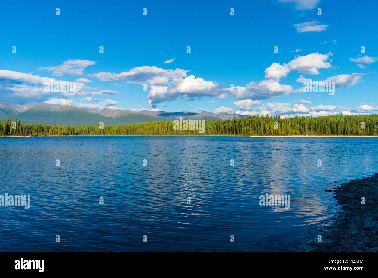 Boya Lake Provincial Park in British Columbia, Kanada Stockfoto