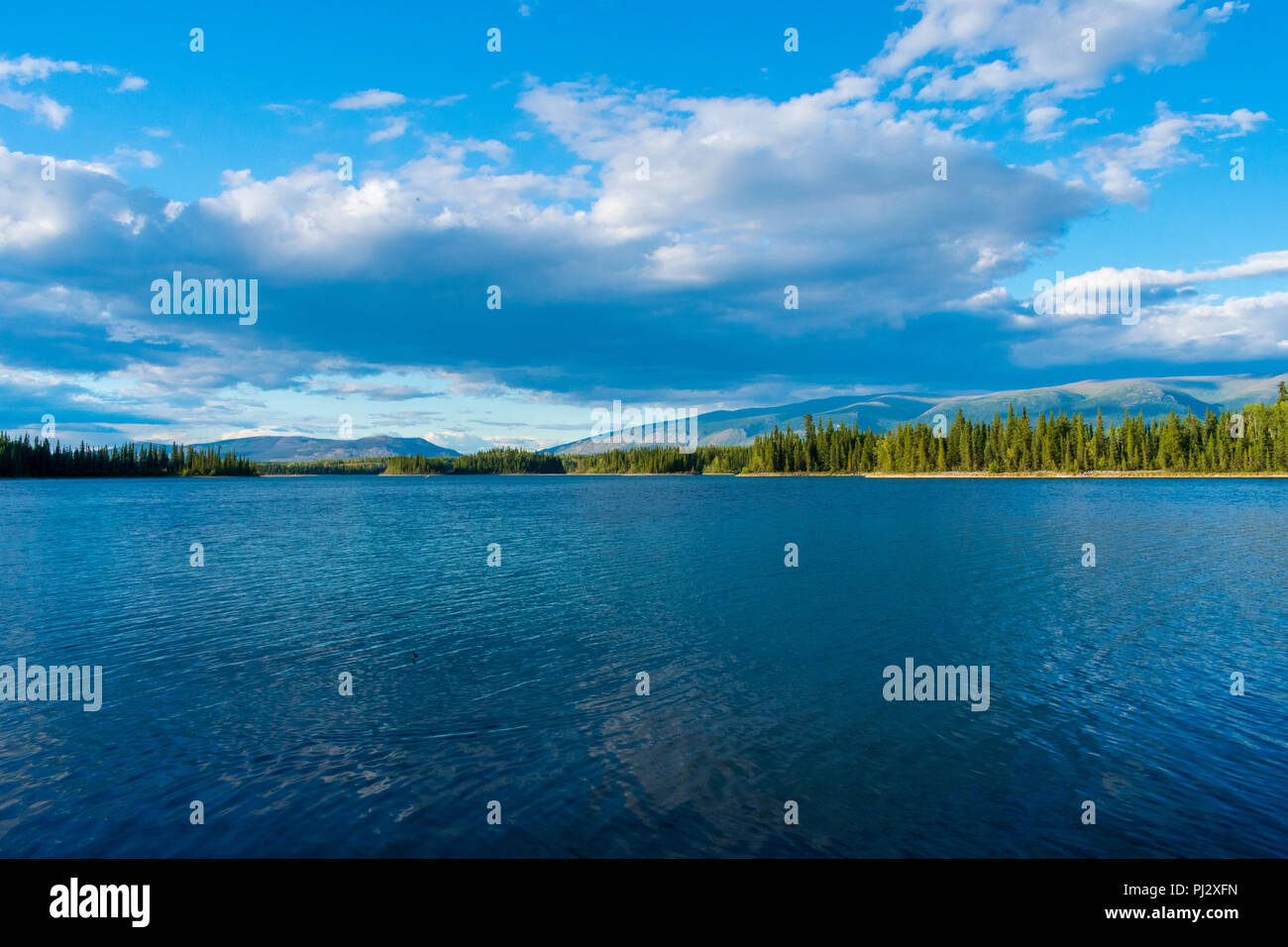 Boya Lake Provincial Park in British Columbia, Kanada Stockfoto