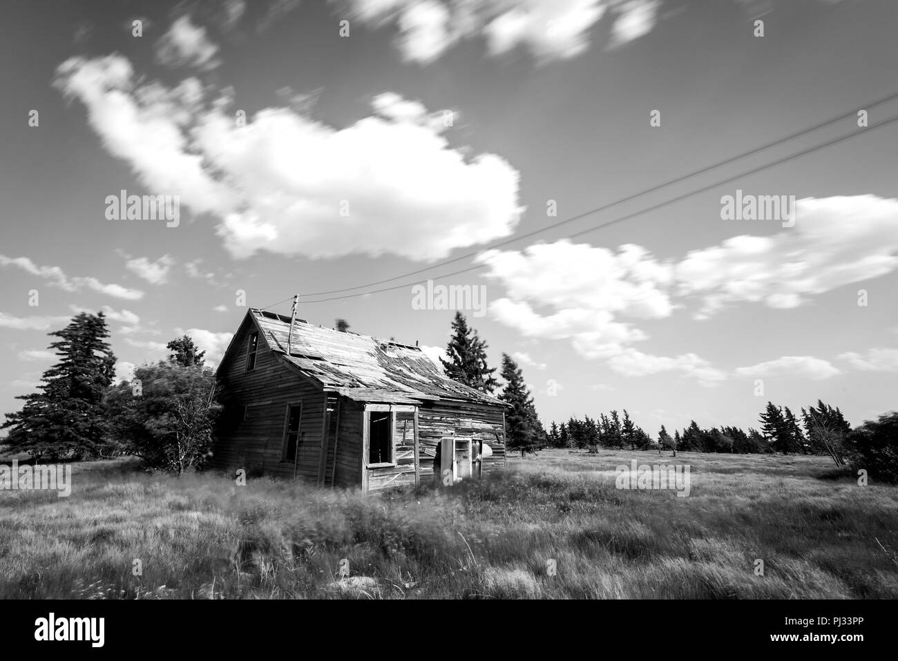 Alten, verlassenen prairie Bauernhaus durch Bäume, hohes Gras und Himmel in Saskatchewan, Kanada in Schwarz und Weiß umgeben Stockfoto