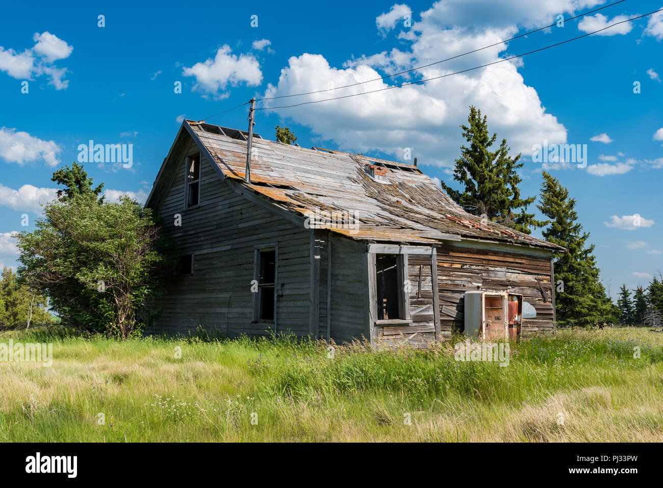 Alten, verlassenen prairie Bauernhaus durch Bäume, hohes Gras und blauer Himmel in Saskatchewan, Kanada umgeben Stockfoto