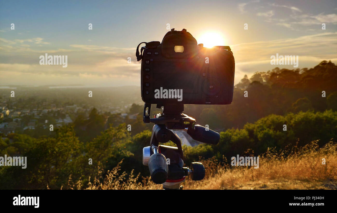 Berkeley, USA - 12. Juli 2018: Canon 5D Mark IV auf einem Manfrotto Stativ bei Grizzly Peak in Berkeley Hills in San Francisco cov nach Satz Stockfoto