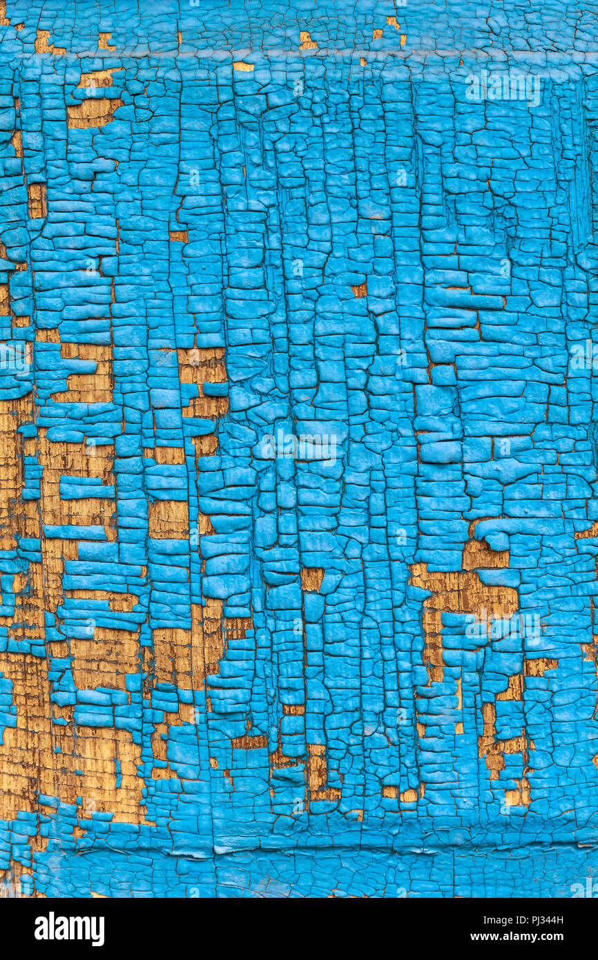 Alte schäbige Holzbohlen mit Gecrackten blaue Farbe Stockfoto
