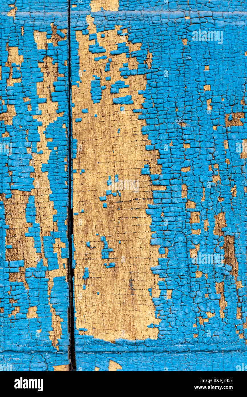 Alte hölzerne blau lackiert rustikale Oberfläche. abblätternde Farbe Hintergrund Stockfoto