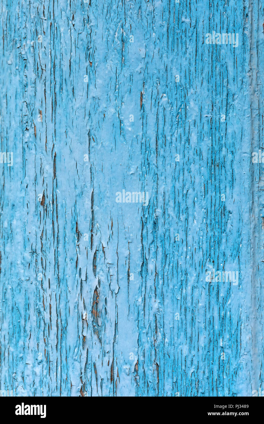 Blaue blasse Farbe Textur geknackt. verwitterte geschälte Holz- Oberfläche Stockfoto