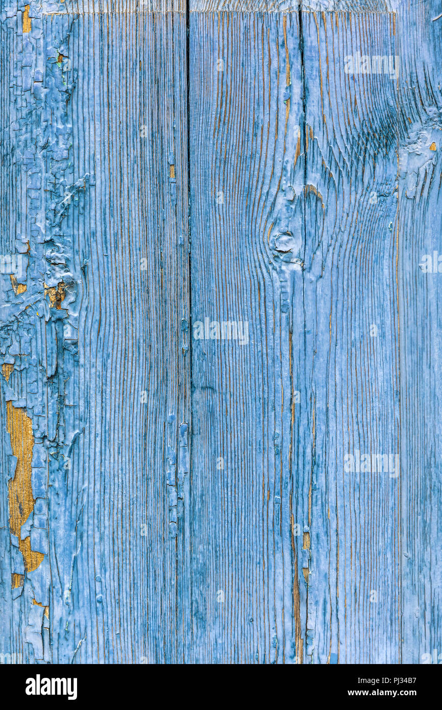 Grunge Holzbohlen Hintergrund mit Abschälen der blauen Farbe Stockfoto