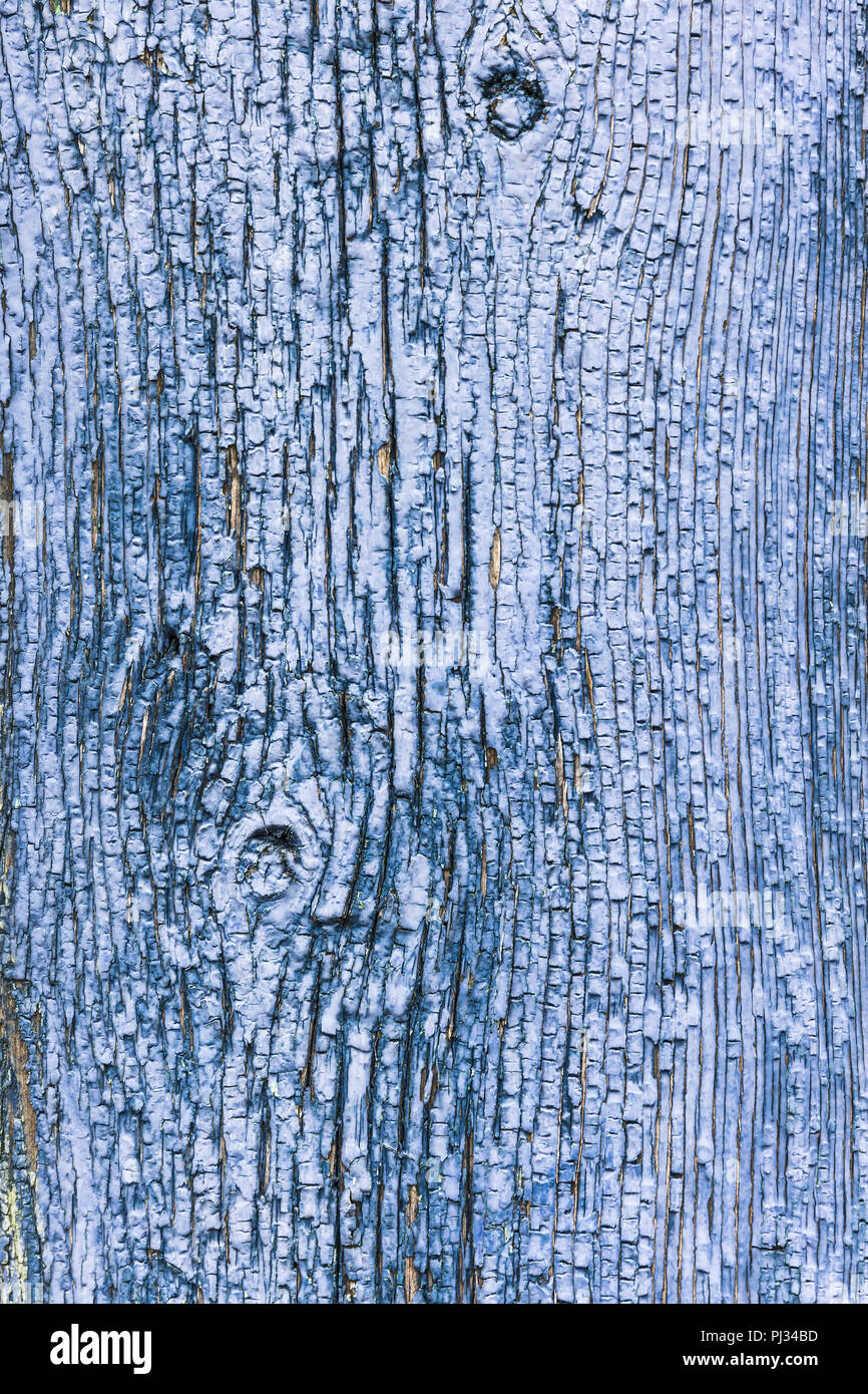 Alte hölzerne Blau lackierte Oberfläche mit verblasst und Risse im Lack Stockfoto