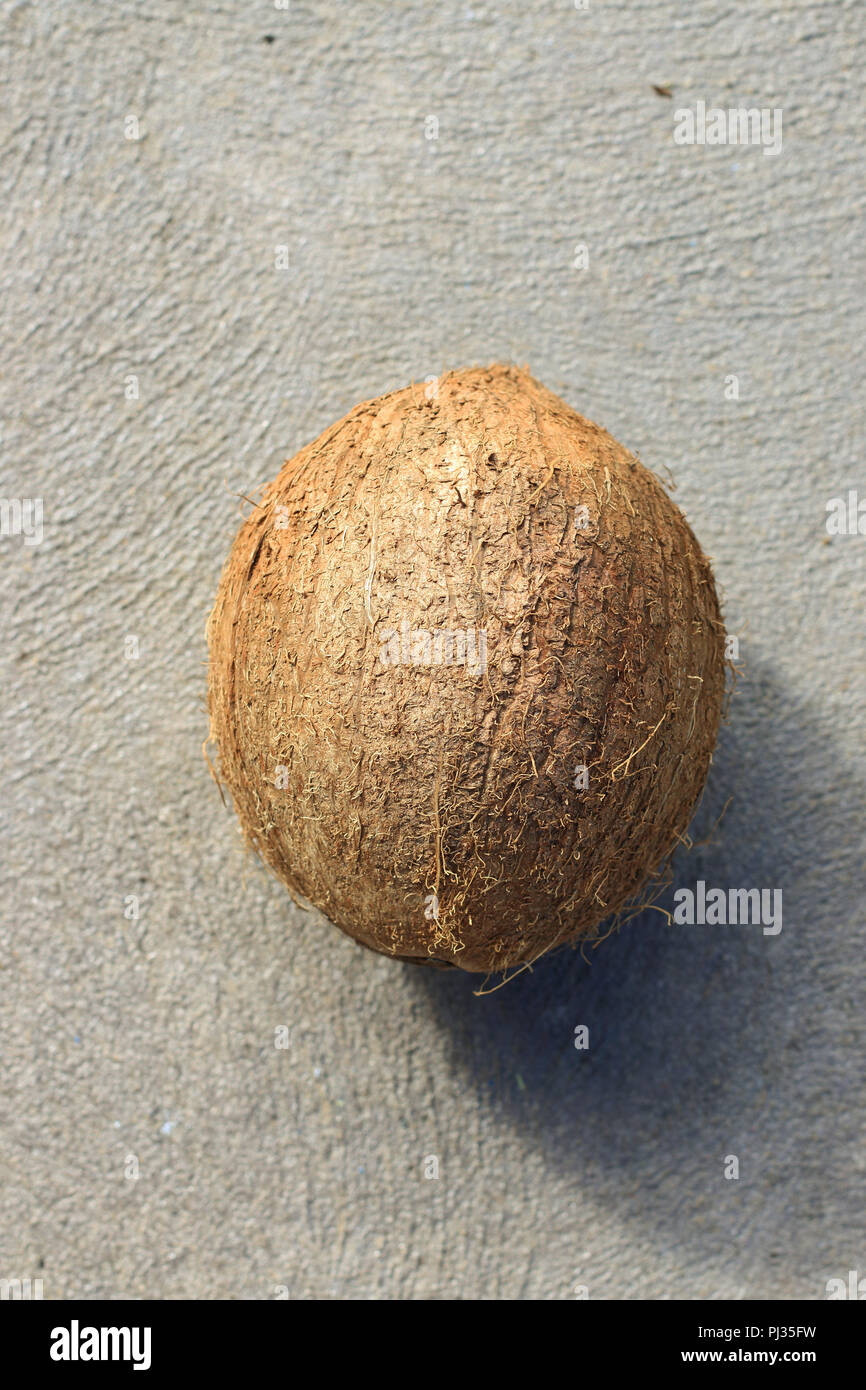 Kokos-Frucht Stockfoto
