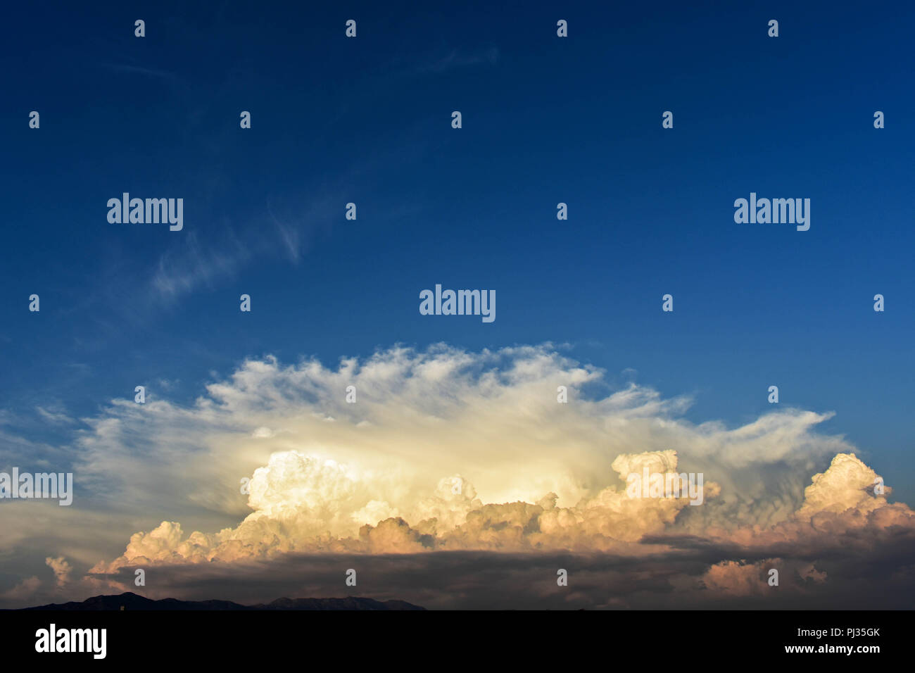 Wunderschöne Nahaufnahme von Flauschigen cumulus Wolken/gelbe und weiße Wolken bei Sonnenuntergang / Über den Wolken / Himmel wallpaper Stockfoto