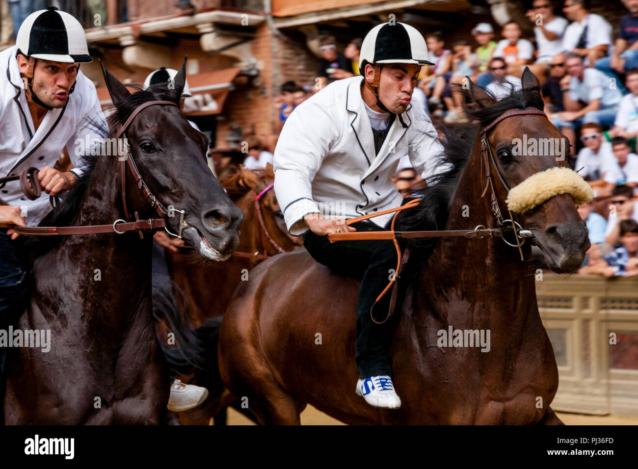 Lokale Jockeys Test die Pferde, Wird in der Palio di Siena, Siena, Italien Stockfoto