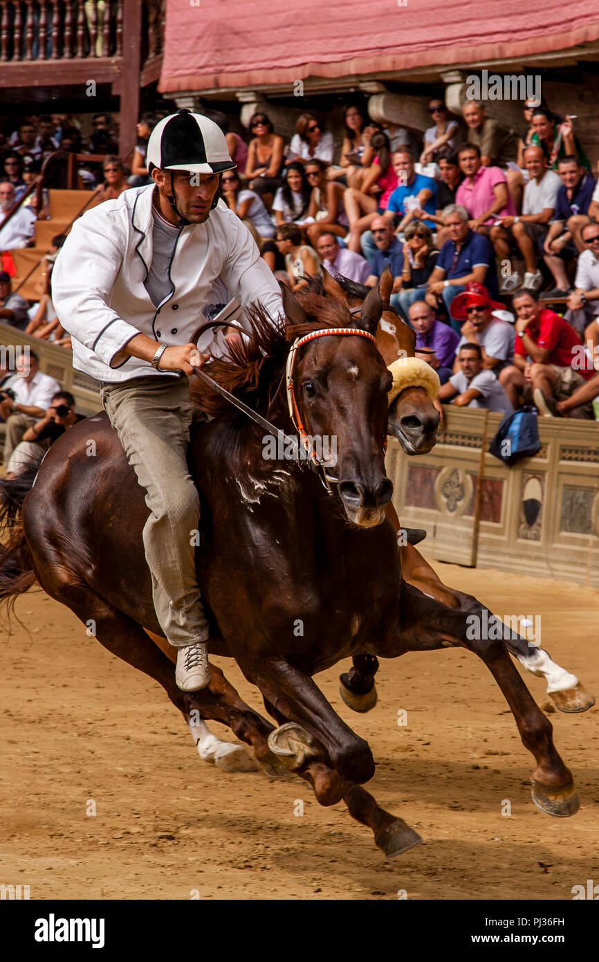 Lokale Jockeys Test die Pferde, Wird in der Palio di Siena, Siena, Italien Stockfoto