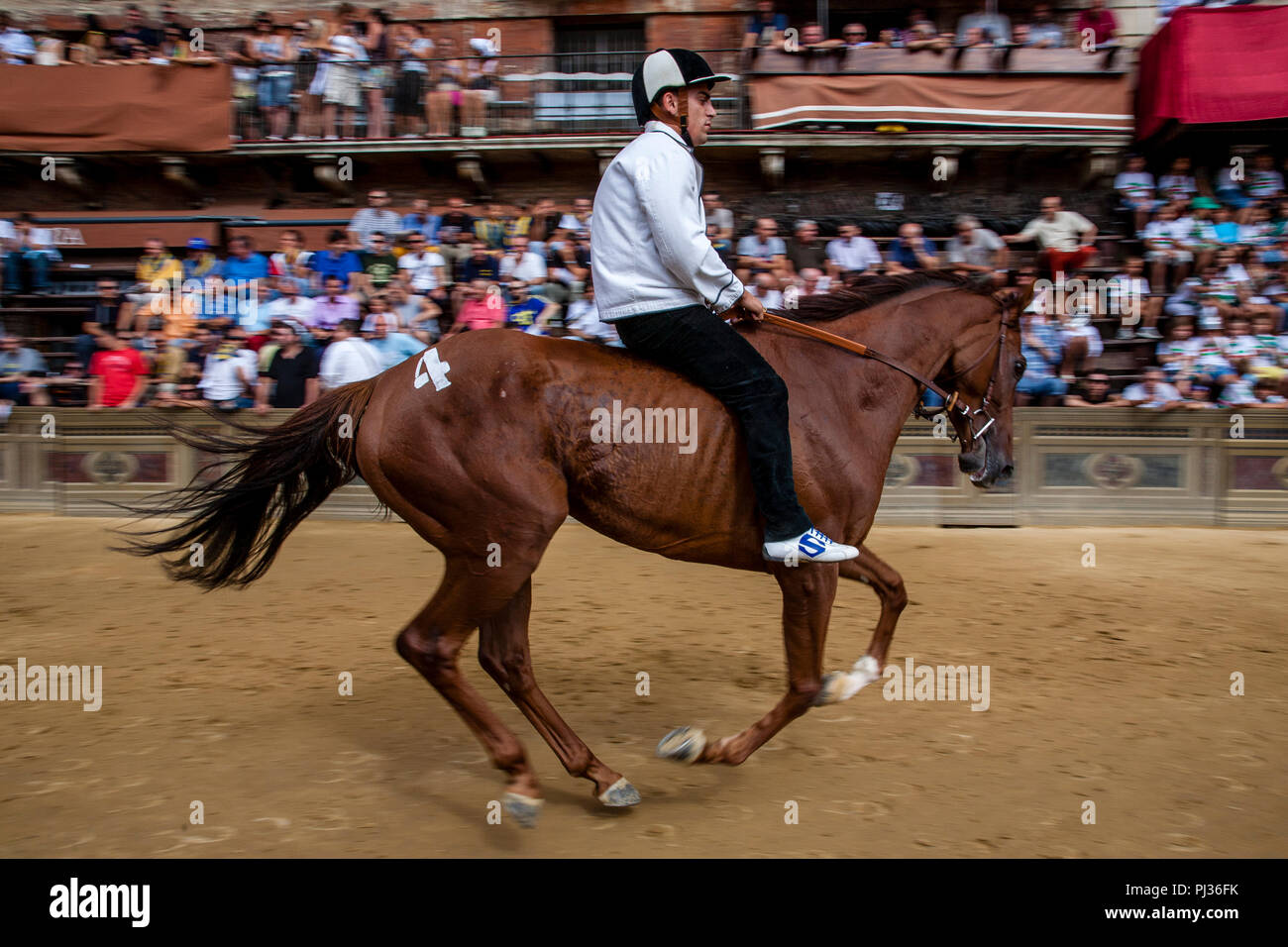 Lokale Jockeys Test die Pferde, Wird in der Palio di Siena, Siena, Italien Stockfoto