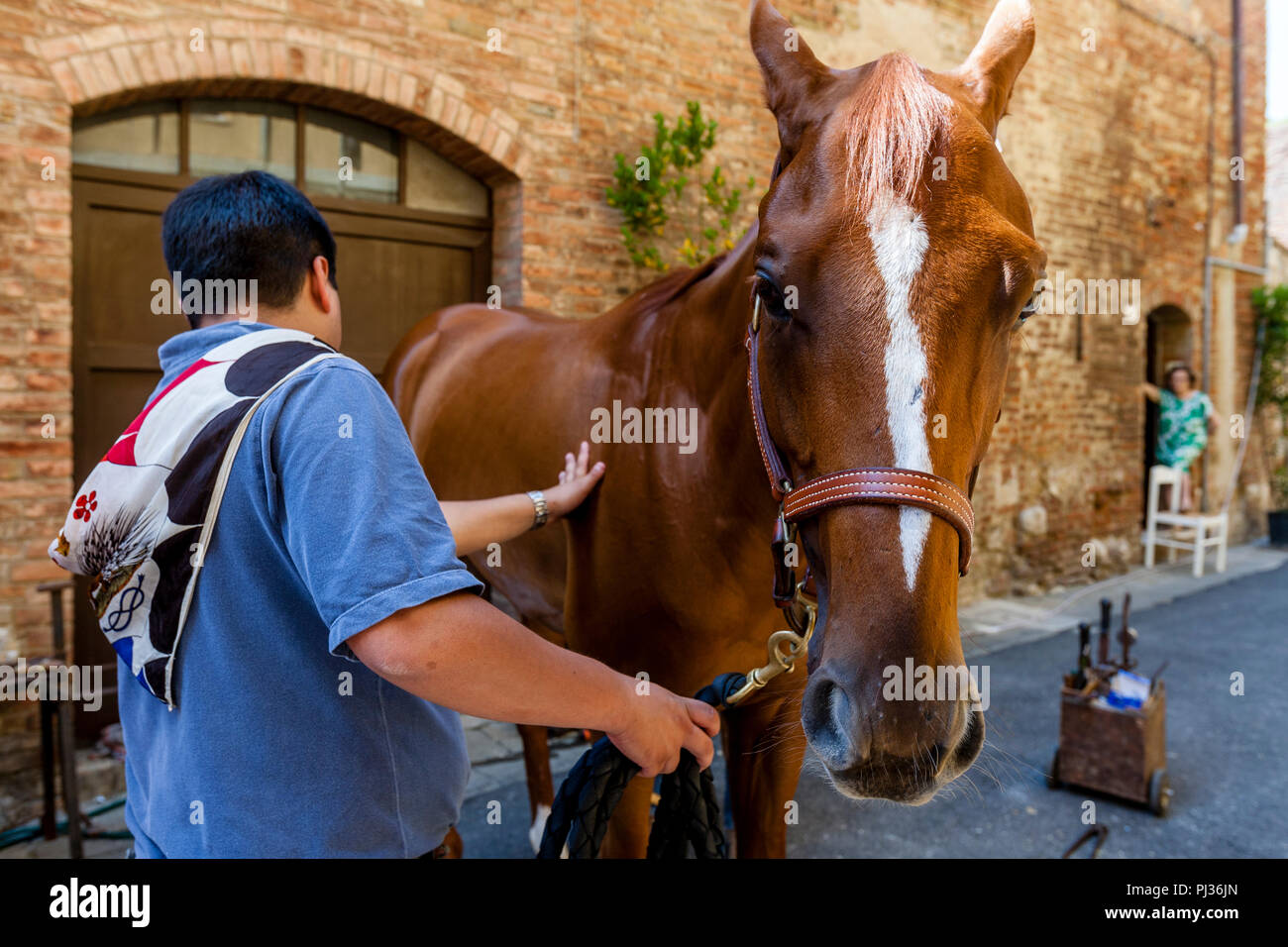Ein Bräutigam aus dem Istrice (Stachelschwein) Contrada sieht nach dem Pferd, Palio di Siena, Siena, Italien Stockfoto