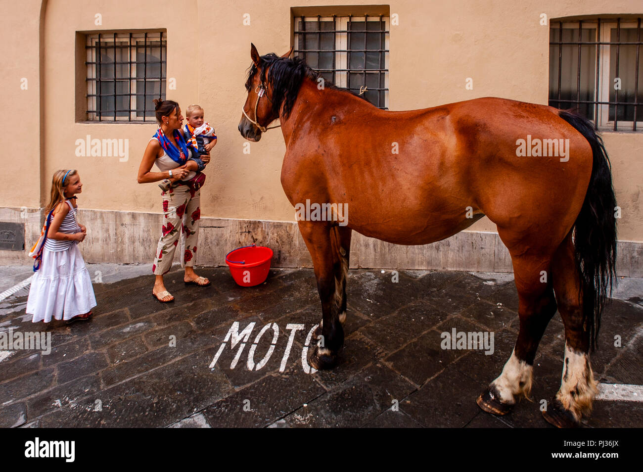 Die Einwohner Der nicchio (Shell) Contrada in der Contrada Pferd in der Straße, der Palio di Siena, Siena, Italien Stockfoto