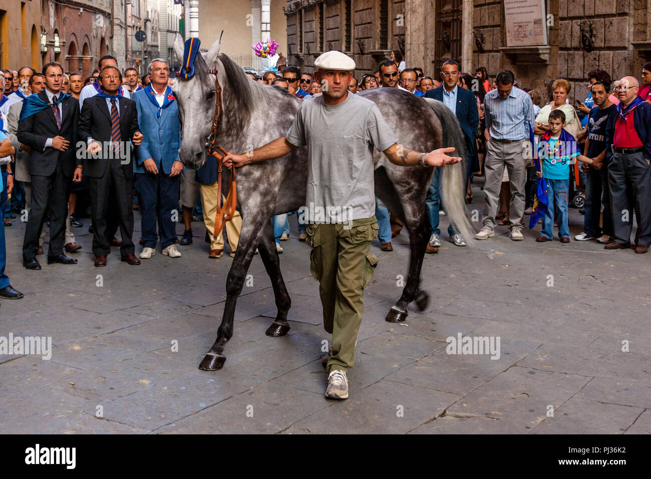 Mitglieder Der nicchio Contrada Escort Ihr Pferd auf die Piazza Del Campo für eine der sechs Trial Rennen, Palio di Siena, Siena, Italien Stockfoto
