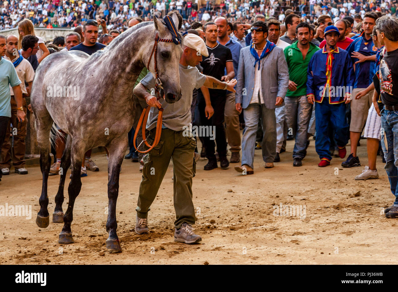 Ein Contrada und Ihr Pferd und Jockey warten, die Piazza Del Campo nach einem Abend Trial Rennen, den Palio di Siena, Siena, Italien zu verlassen Stockfoto