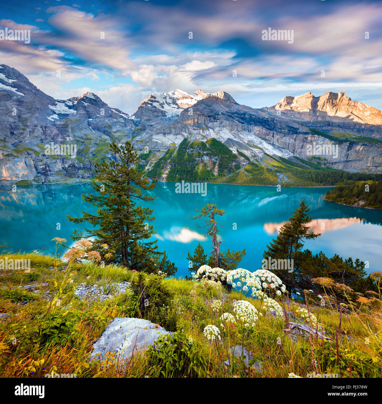 Bunte Sommermorgen auf einzigartigen See - Oeschinensee (Oeschinensee), Weltkulturerbe der UNESCO. Die Schweiz, Europa. Stockfoto