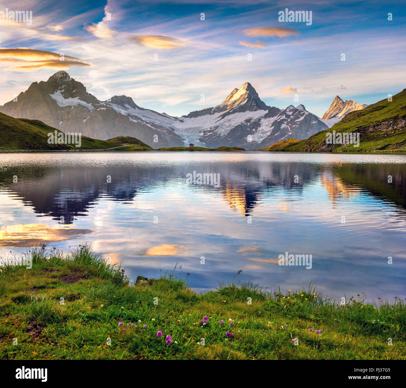 Wetterhorn und Wellhorn Spitzen in Wasser Oberfläche der Bachsee Sees spiegelte. Farbenfrohe Sommer Sonnenaufgang in Berner Oberland Alpen, Innertkirchen, Schweiz Stockfoto