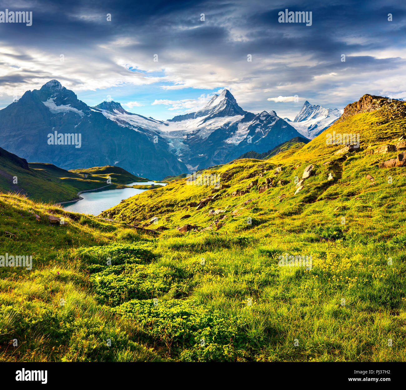 Wetterhorn und Wellhorn peaks über Bachsee See. Farbenfrohe Sommer Szene Alpen im Berner Oberland, Grindelwald Lage, Innertkirchen, Schweiz Stockfoto