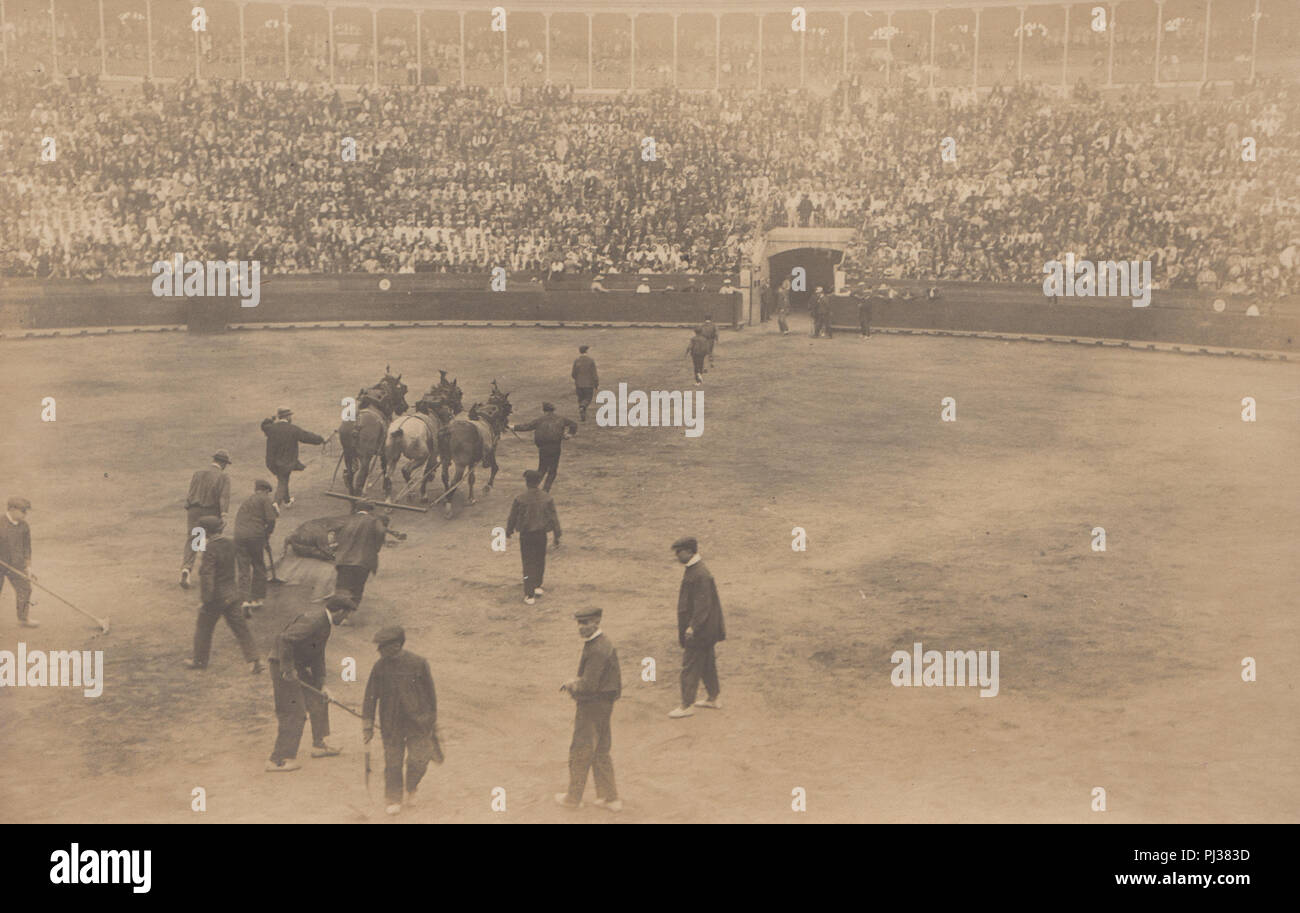 Vintage Foto eines Toten Stier aus der Arena von einem spanischen Stierkampf gezogen Stockfoto