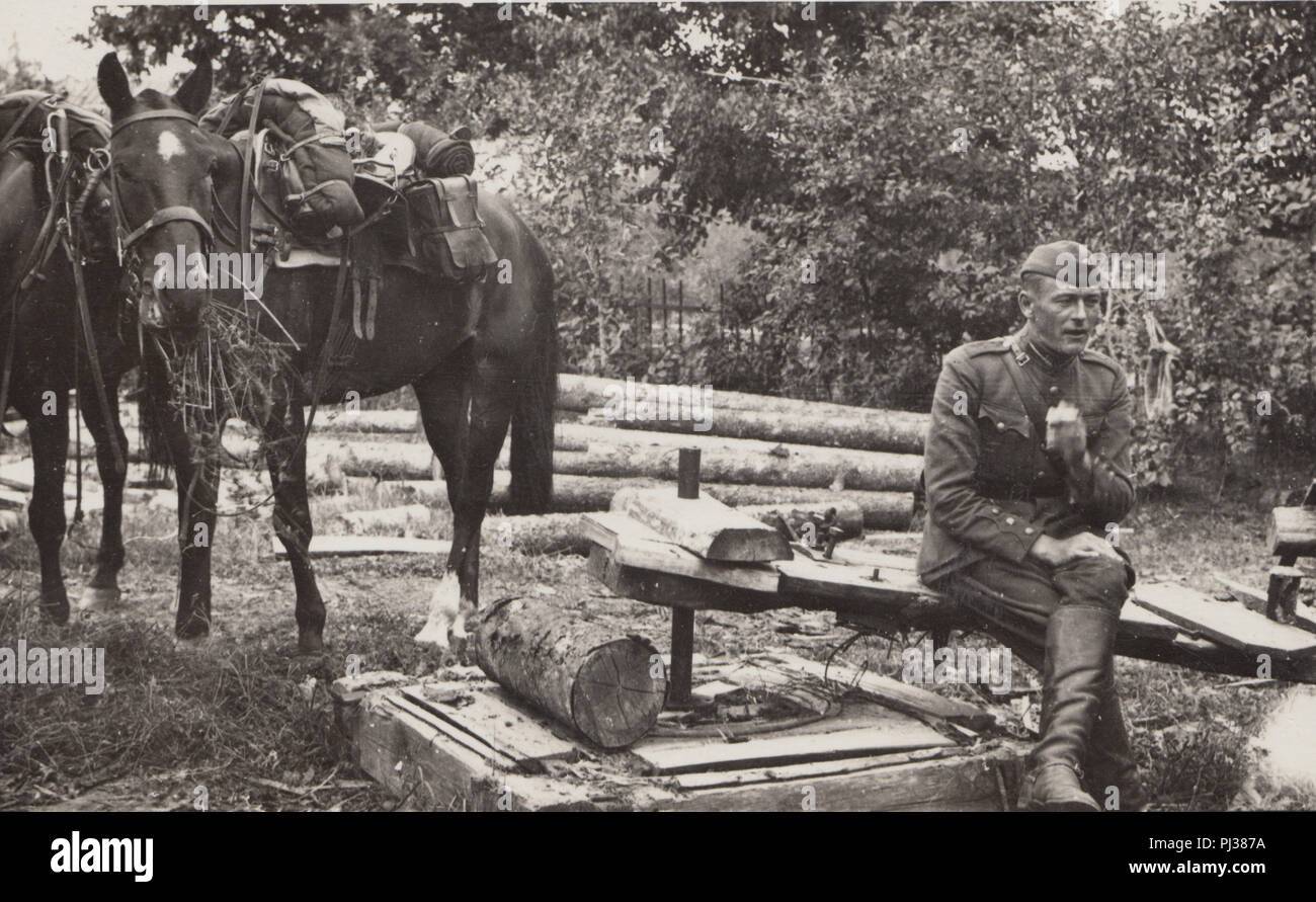 Vintage Foto eines deutschen Soldaten entspannend Neben einigen Pferden Stockfoto