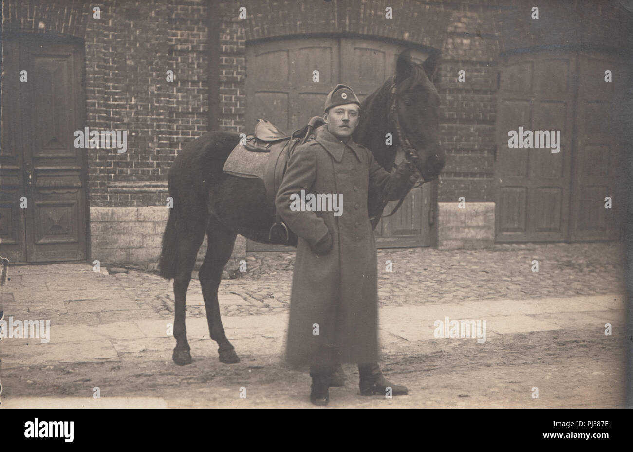 Jahrgang 1920 Foto eines deutschen Soldaten mit seinem Pferd Stockfoto