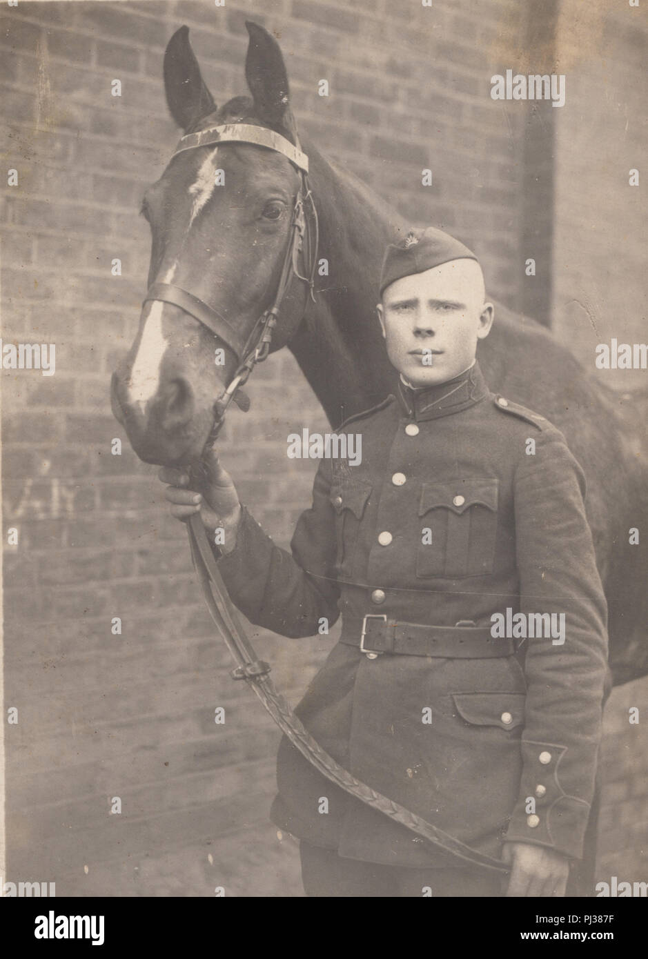 Vintage Foto eines deutschen Soldaten mit seinem Pferd Stockfoto