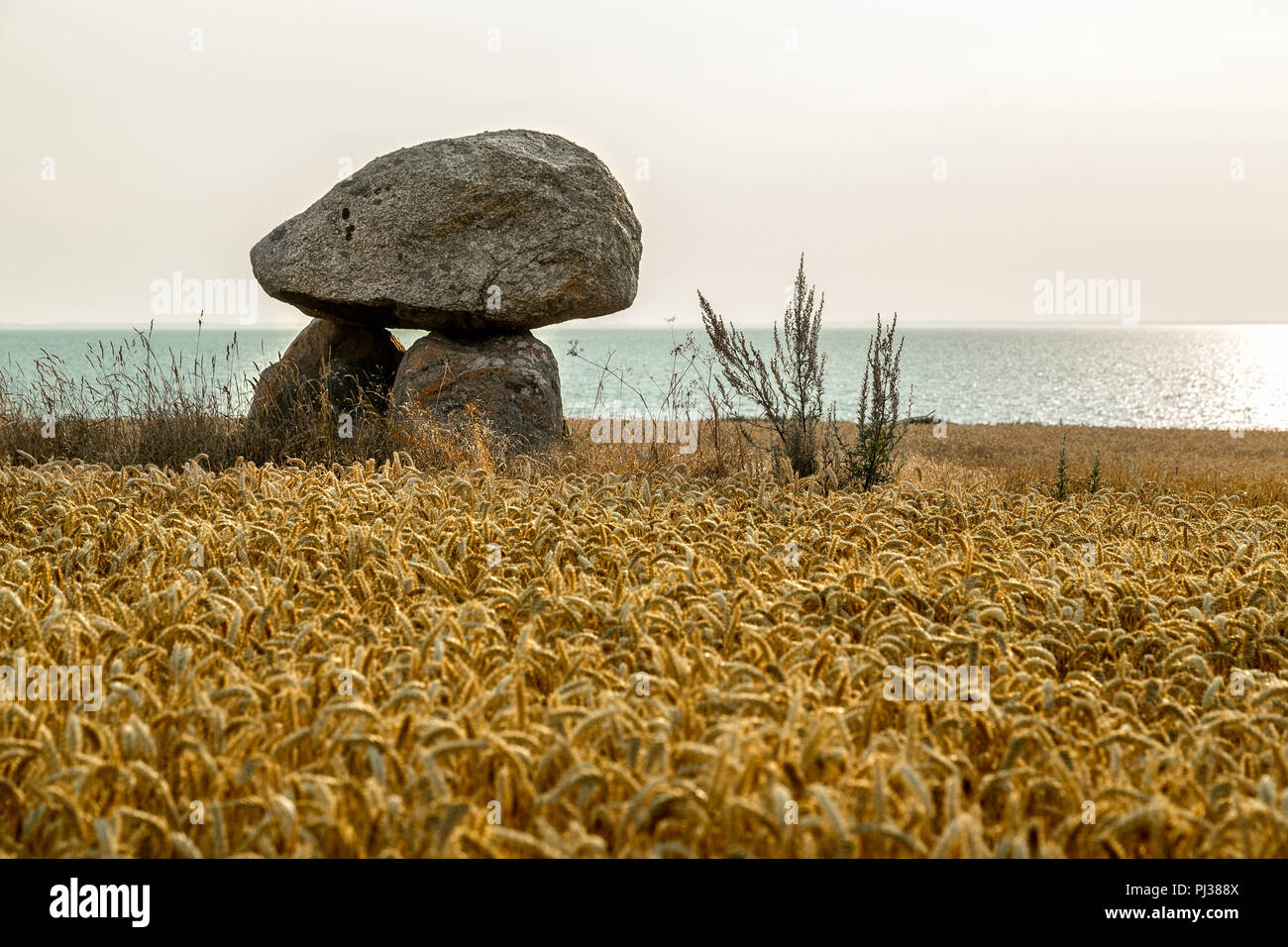 Dolmen in Helnæs Dänemark Stockfoto