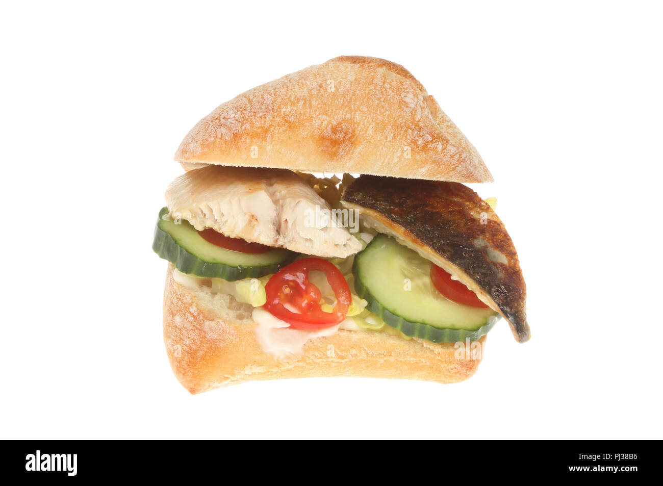 Makrele Fischfilet mit Salat in einem Ciabatta roll gegen Weiße isoliert Stockfoto