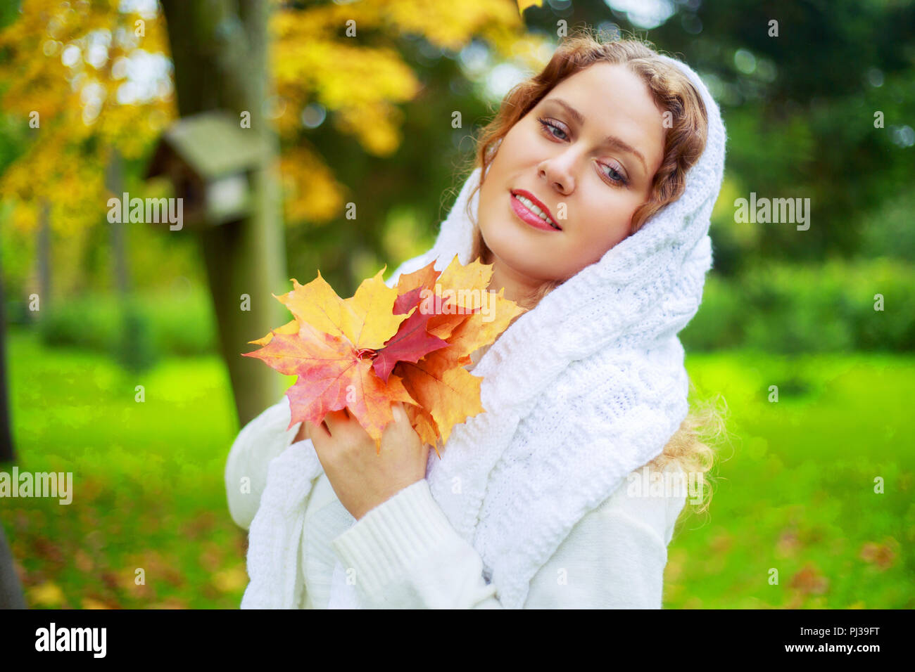 Schöne junge plussize Modell im Herbst Park Stockfoto