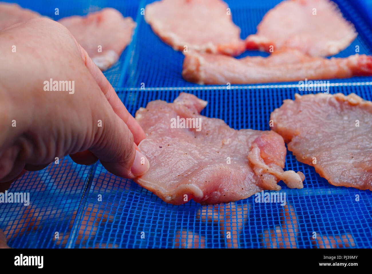 Schweinebraten mit Soße und Zucker für Sonnenlicht, Thailand's beliebte Speisen (Moo Vati Deaw). Stockfoto