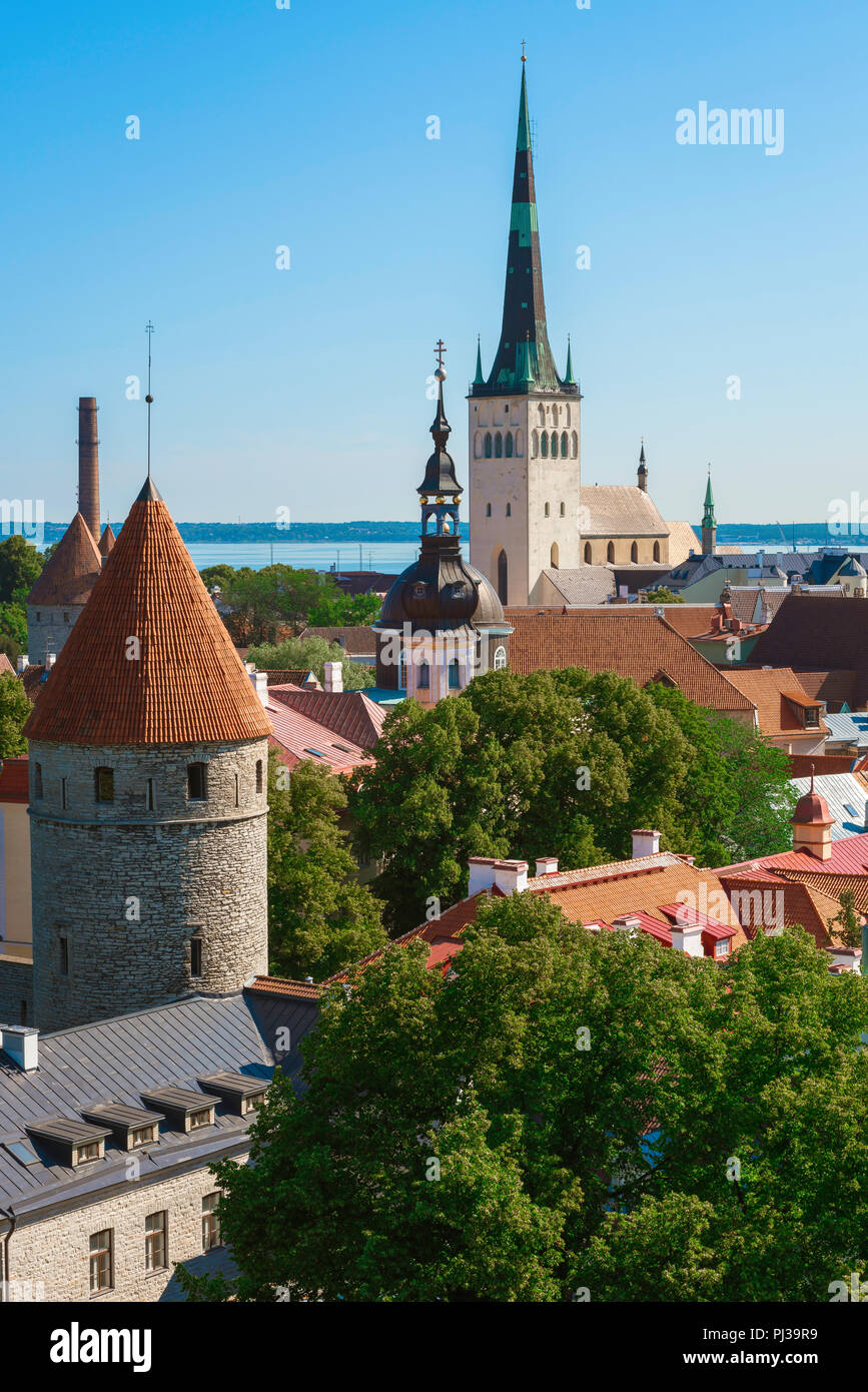 Tallinn Sommer, landschaftlich schöner Blick über die Türme und Dächer der mittelalterlichen Unterstadt von Tallinn mit St. Olaf's Kirche auf der Skyline von Estland. Stockfoto