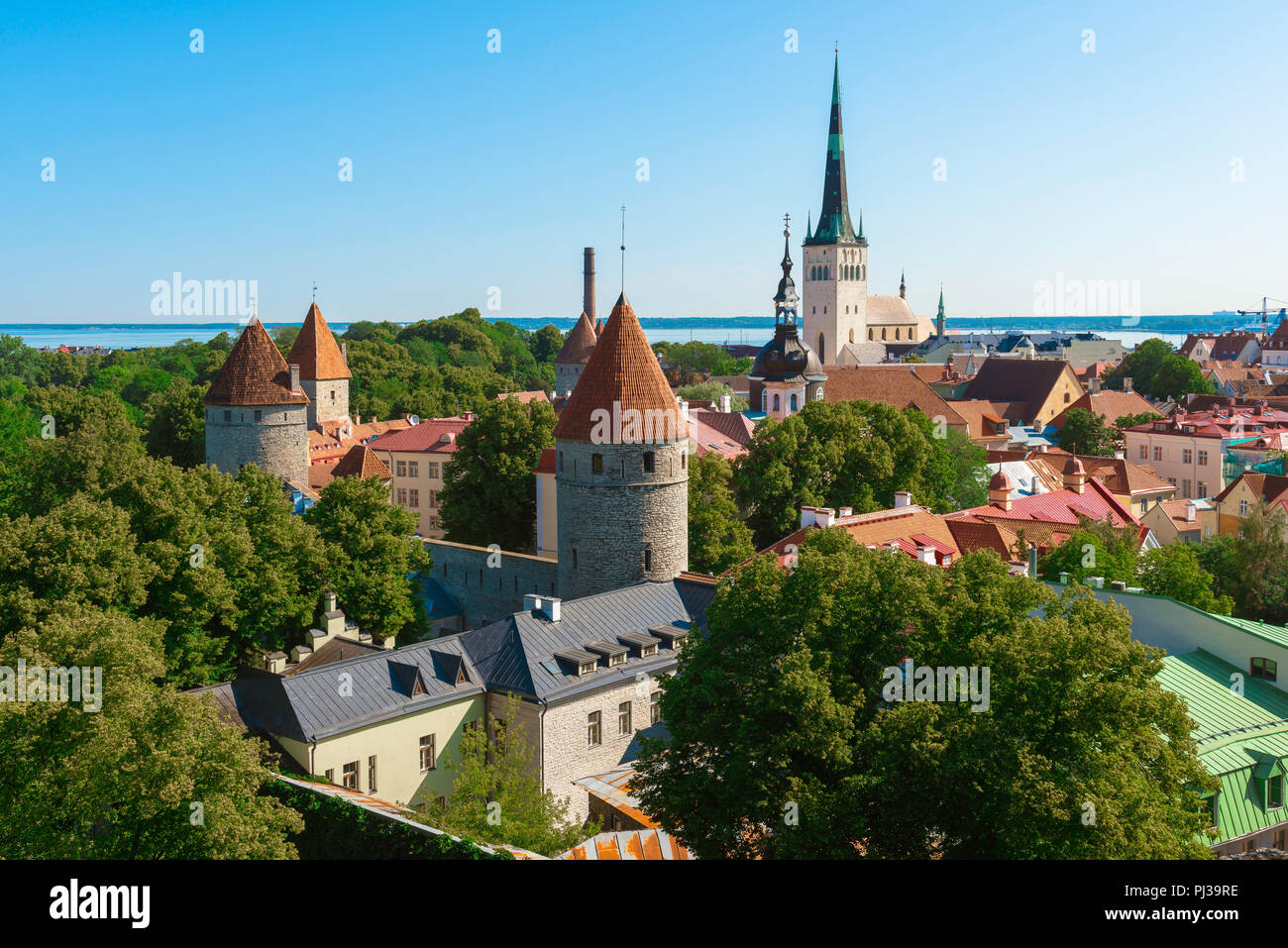 Tallinn Sommer Stadt, Blick auf die Türme und Dächer der mittelalterlichen Untere Stadt Gebiet von Tallinn mit St. Olaf Kirche auf die Skyline, Estland. Stockfoto