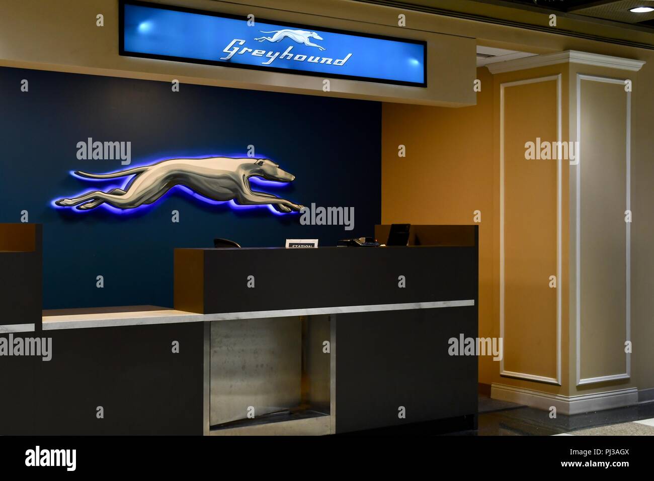 Greyhound Schreibtisch in Chicago's Union Station Stockfoto