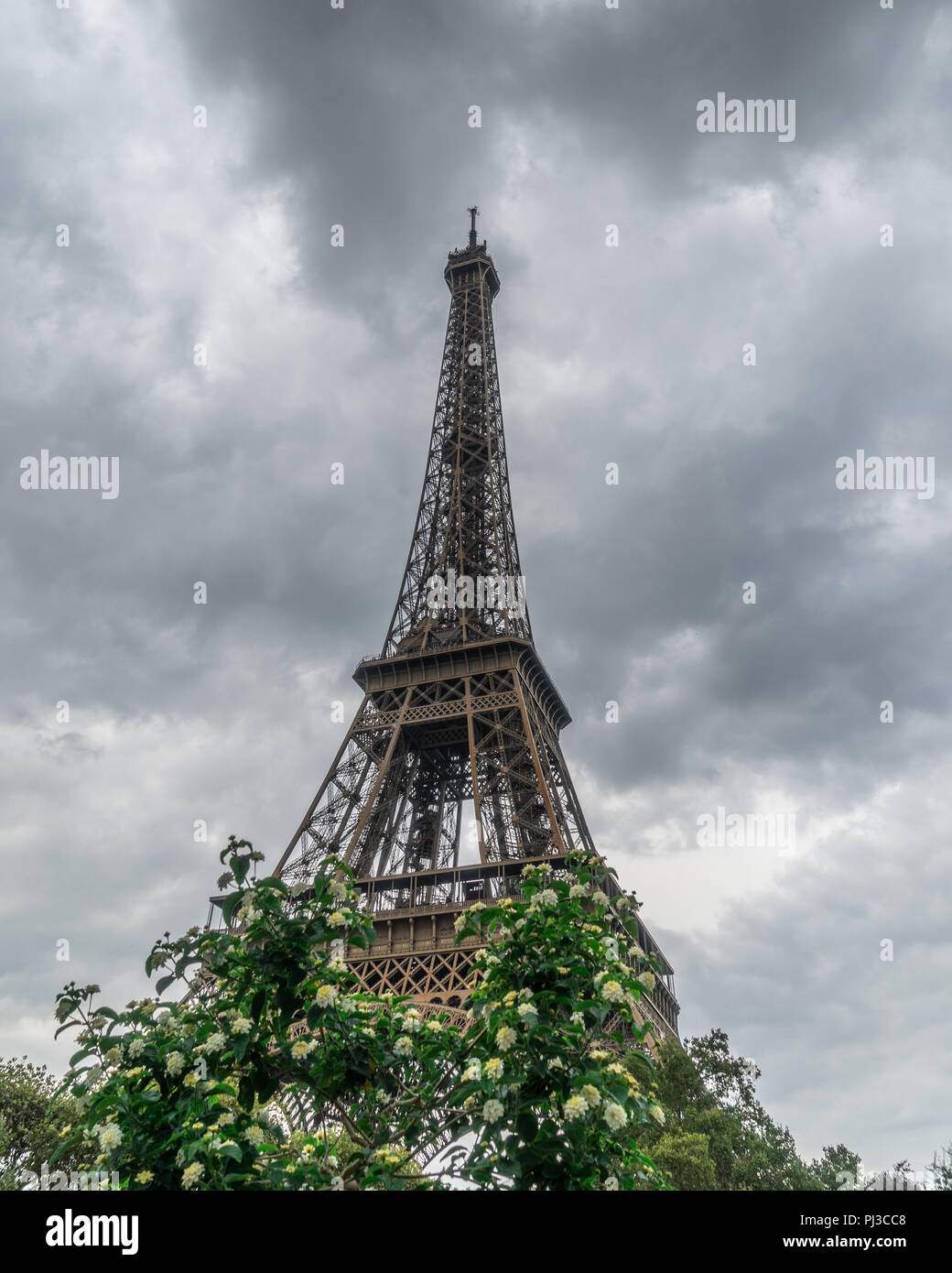 Eiffelturm mit Bäumen im forgorund Stockfoto