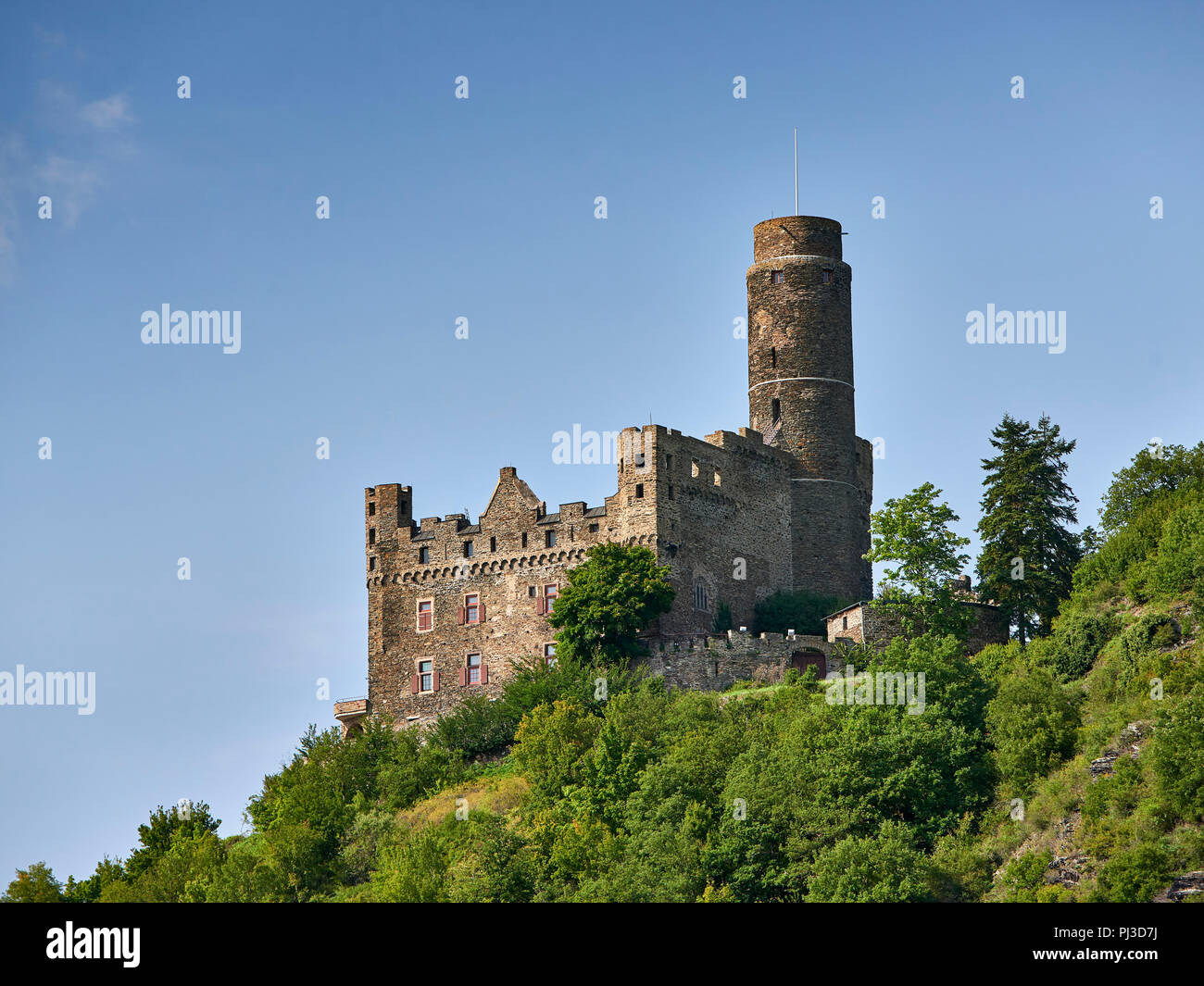 14. jahrhundert Maus Burg (Burg Maus, Maus Schloss) oberhalb des Ortes Wellmich (Teil von Sankt Goarshausen) in Rheinland-Pfalz, Deutschland. Stockfoto