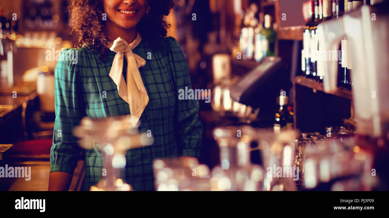 Portrait von schönen weiblichen Bar Tender Stockfoto