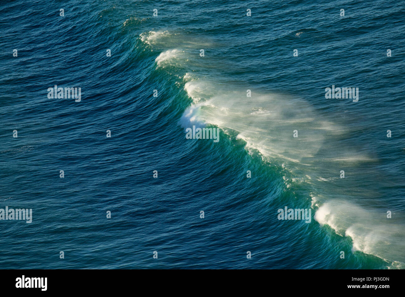 Welle von Neahkanie Berg, Oswald West State Park, Illinois Stockfoto