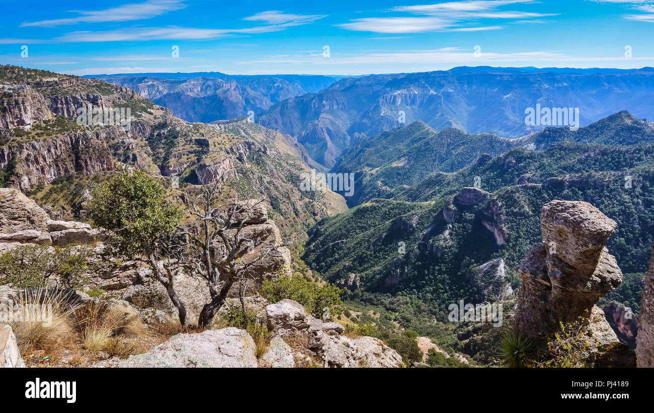 Kupfer Canyon (Barrancas del Cobre) - Sierra Madre Occidental, Chihuahua, Mexiko Stockfoto