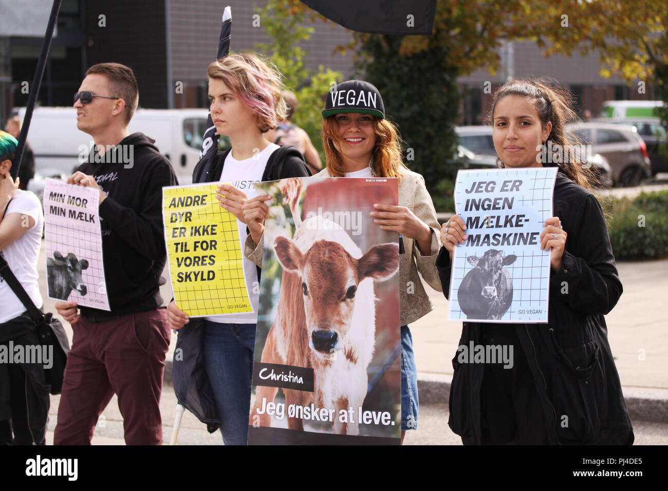Kopenhagen, Dänemark - 1 September, 2018: die Veganer und Vegetarier für Animal Liberation Protest gegen eine Demonstration gegen Grausamkeit gegenüber Tieren und ea Stockfoto