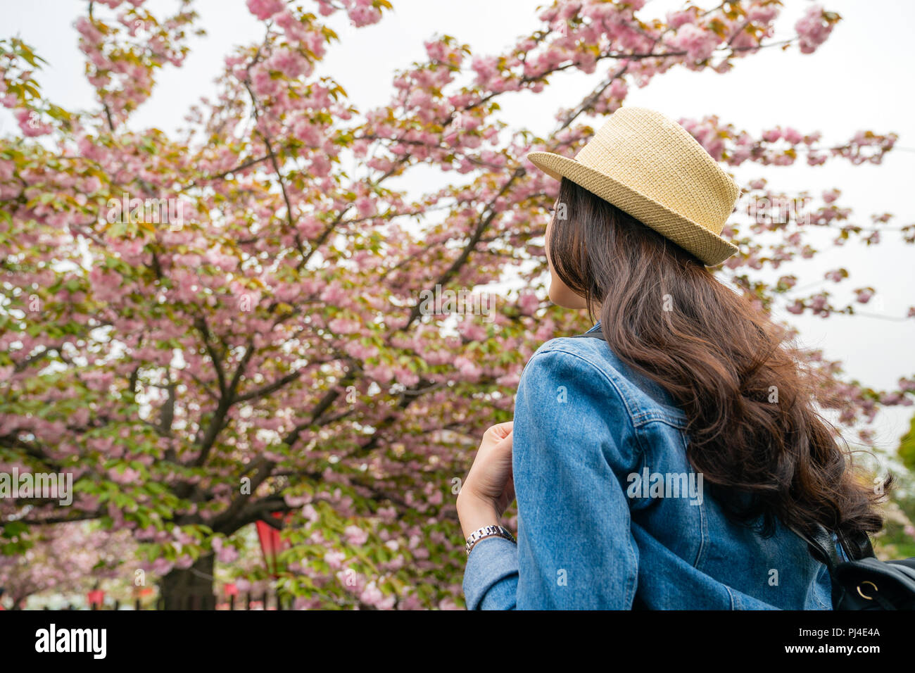 Lange Haare Frau Stand Vor Der Blute Cherry Und Bewundern Schone Szene Mit Blick Nach Hinten Stockfotografie Alamy