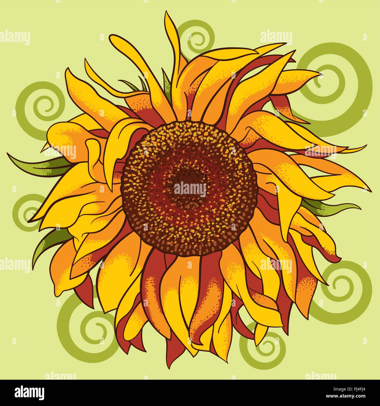 Vector Illustration von Sonnenblume Stock Vektor
