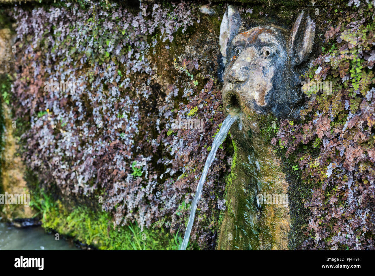 Hundert Brunnen, Cento Fontane, Villa d'Este, Tivoli, Latium, Italien Stockfoto