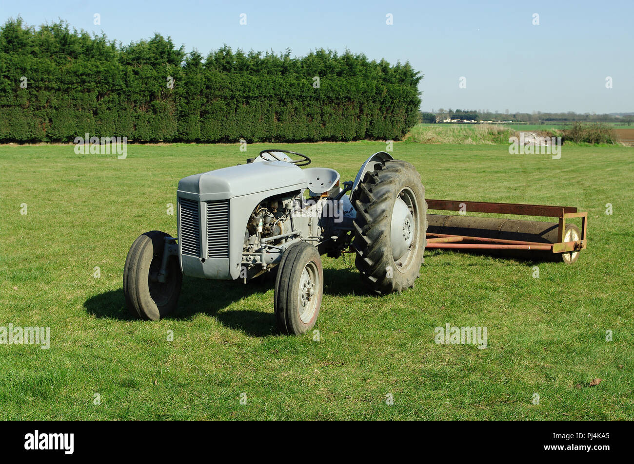 Grau Ferguson Traktor Stockfoto