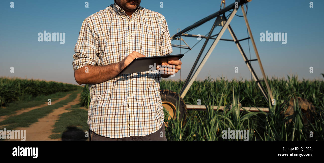 Ernsthafte betroffenen Landwirt mit Tablet Computer im Kornfeld mit Bewässerungsanlage außer Betrieb während der warmen Sommertag Stockfoto